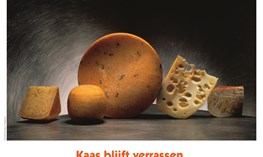 A2 Kaasposter